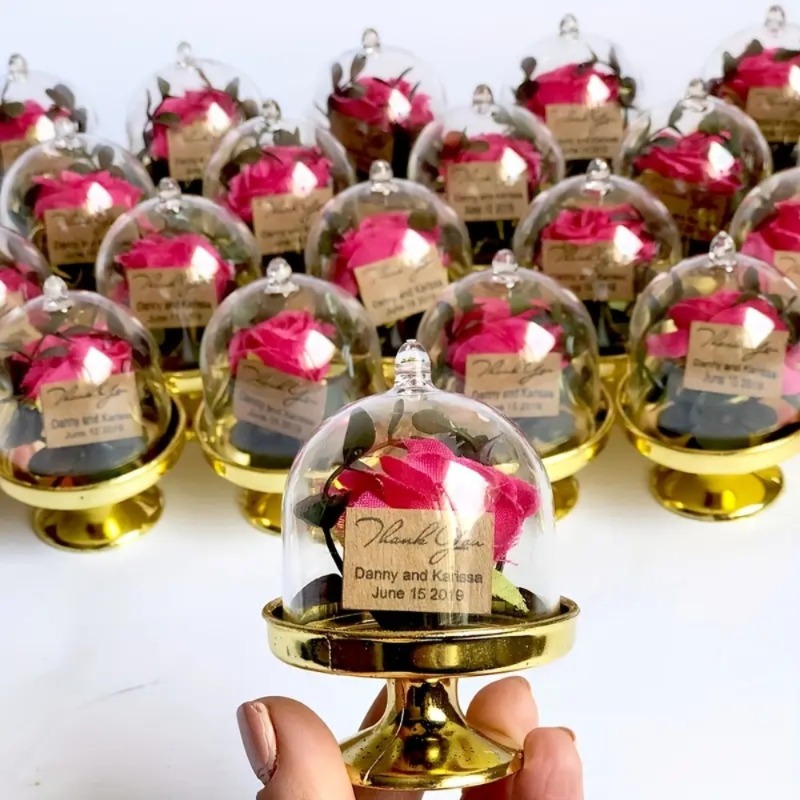 24 Cajas de Plástico Mini para - Wedding Decor Supply Store reseña y precio